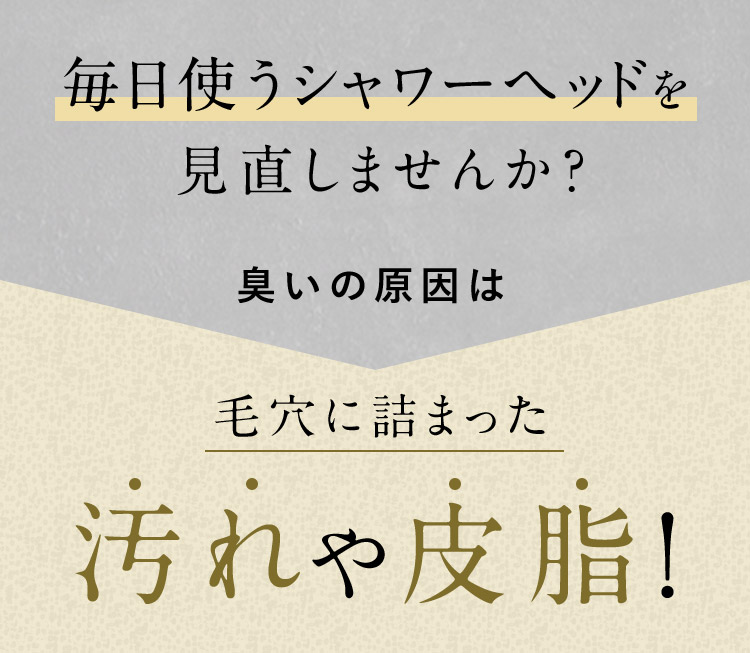 臭いの原因は毛穴に詰まった汚れや皮脂！
