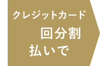 クレジットカード20回分割払いで