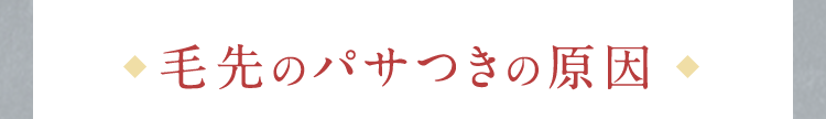 毛先のパサつきの原因
