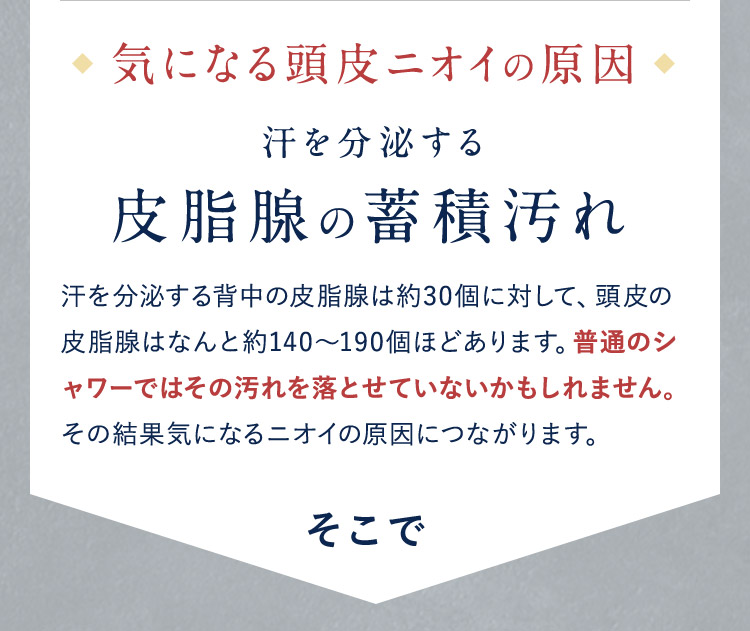 皮脂腺の蓄積汚れ そこで