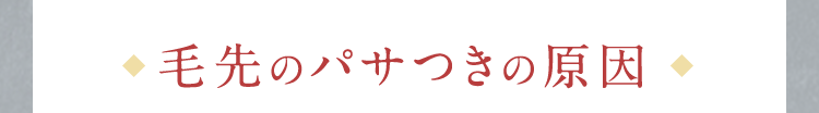 毛先のパサつきの原因