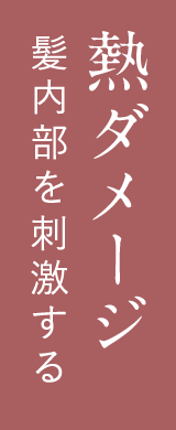 熱ダメージ