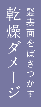 乾燥ダメージ