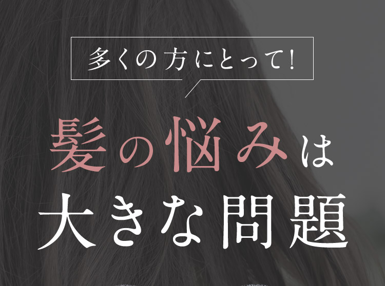 髪の悩みは大きな問題