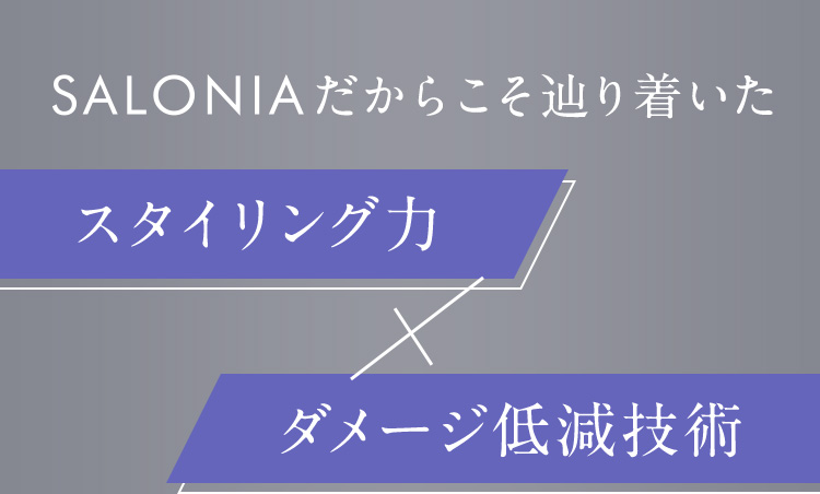 スタイリング力×ダメージ低減技術