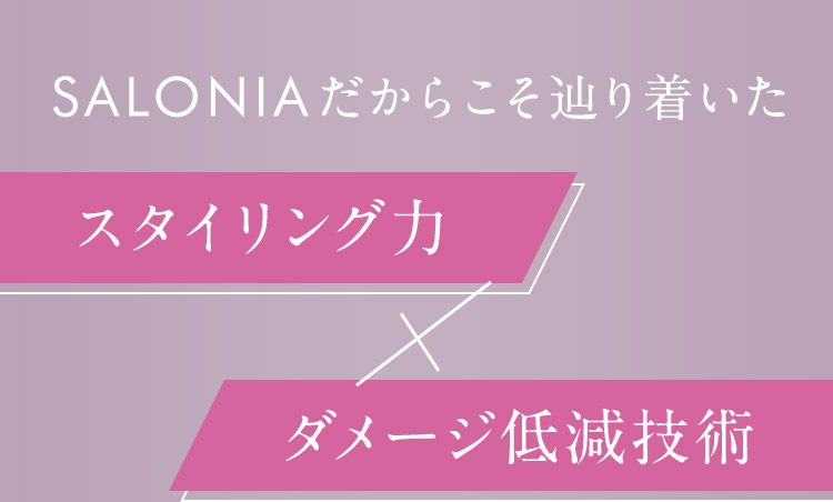 スタイリング力×ダメージ低減技術