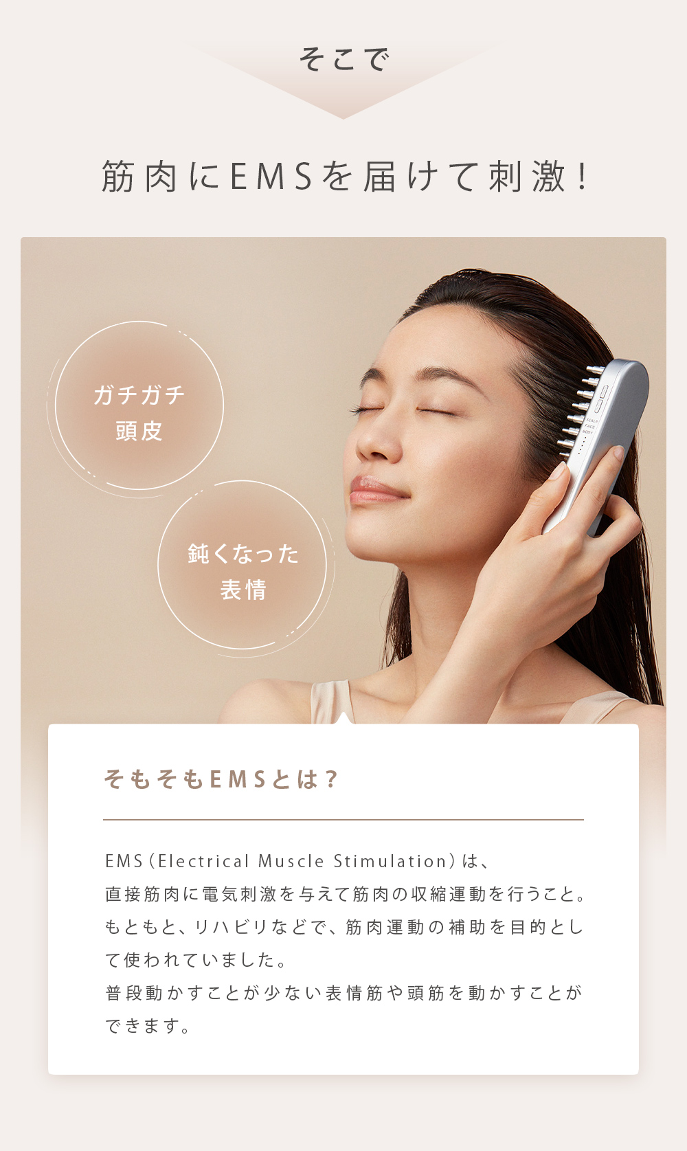 全商品オープニング価格！ SALONIA サロニア 電気ブラシ EMS リフト