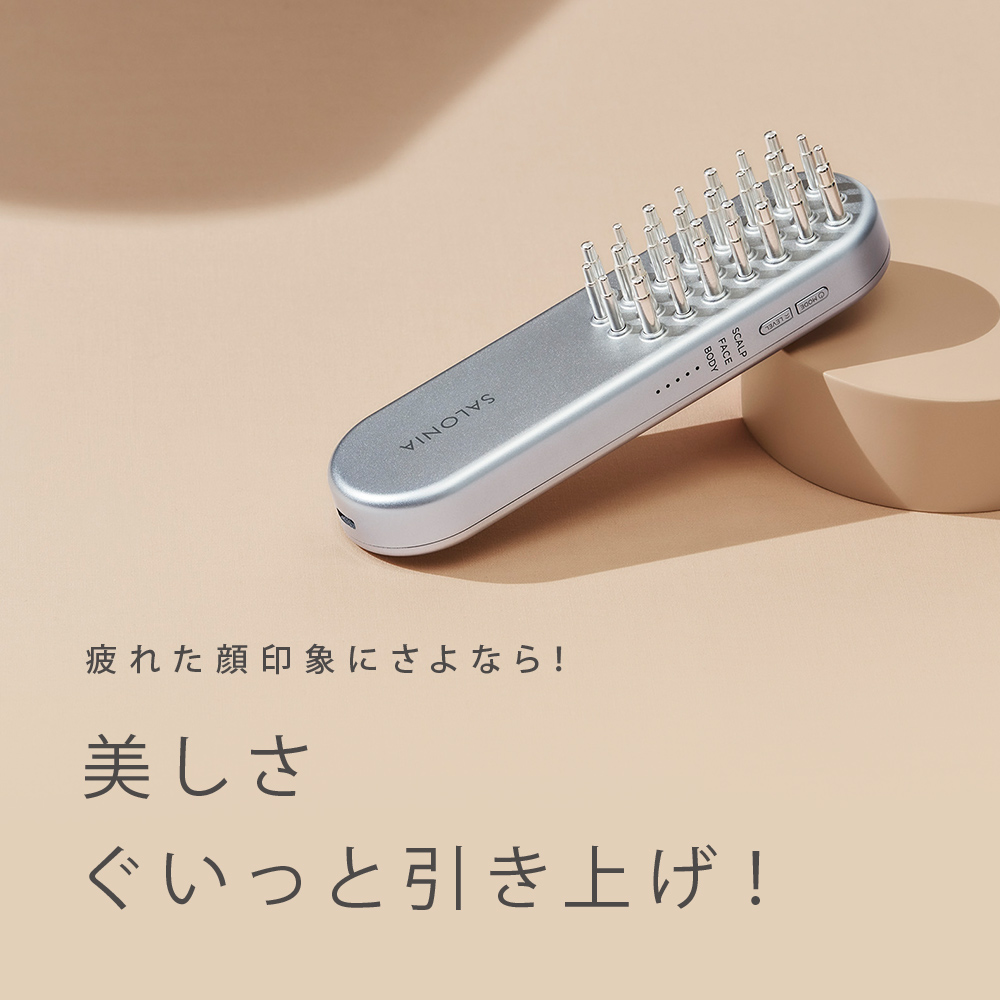 く日はお得 【美品】SALONIA サロニア EMS 電気ブラシ